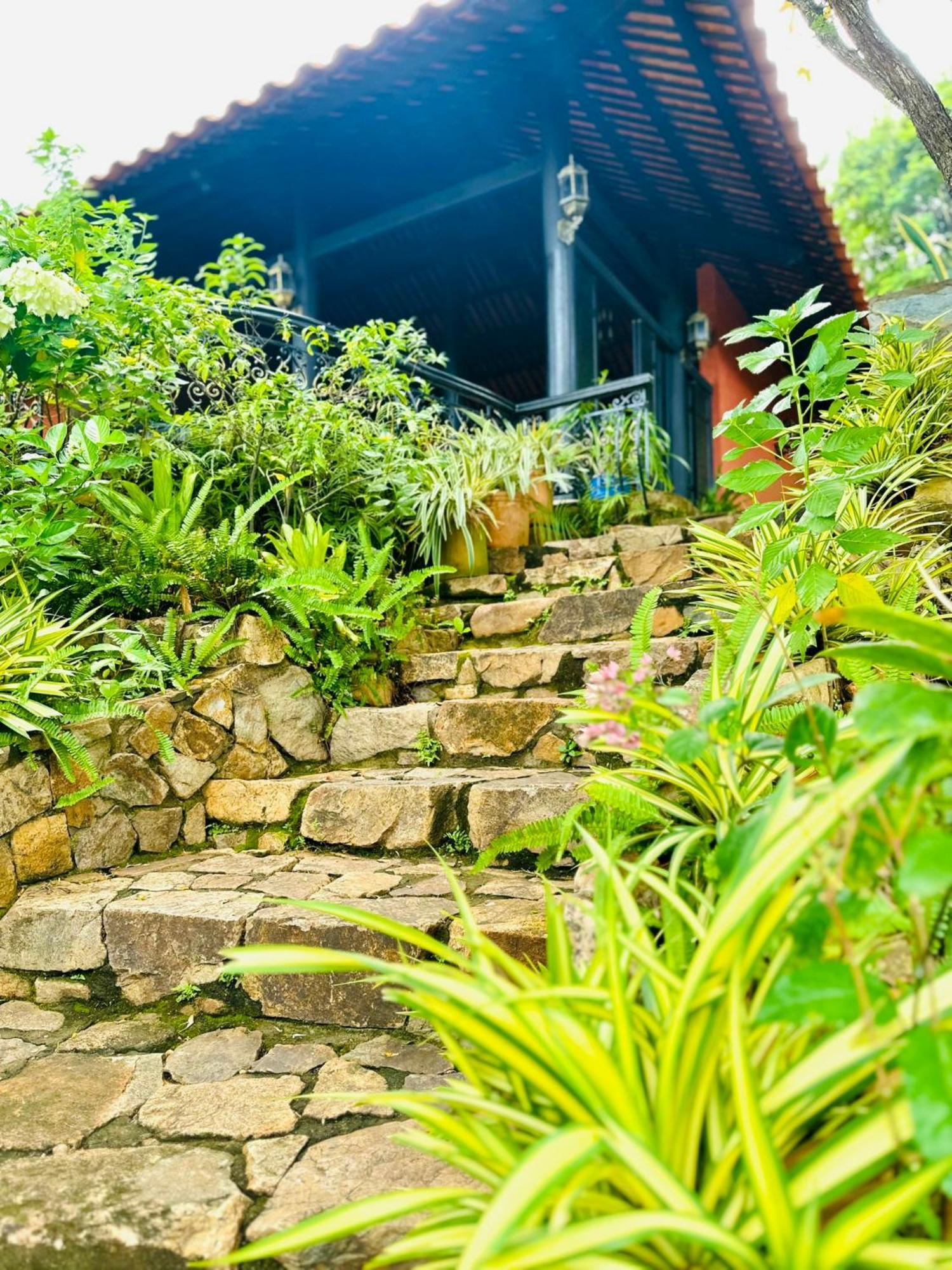 Binh An Village Vung Tau Extérieur photo