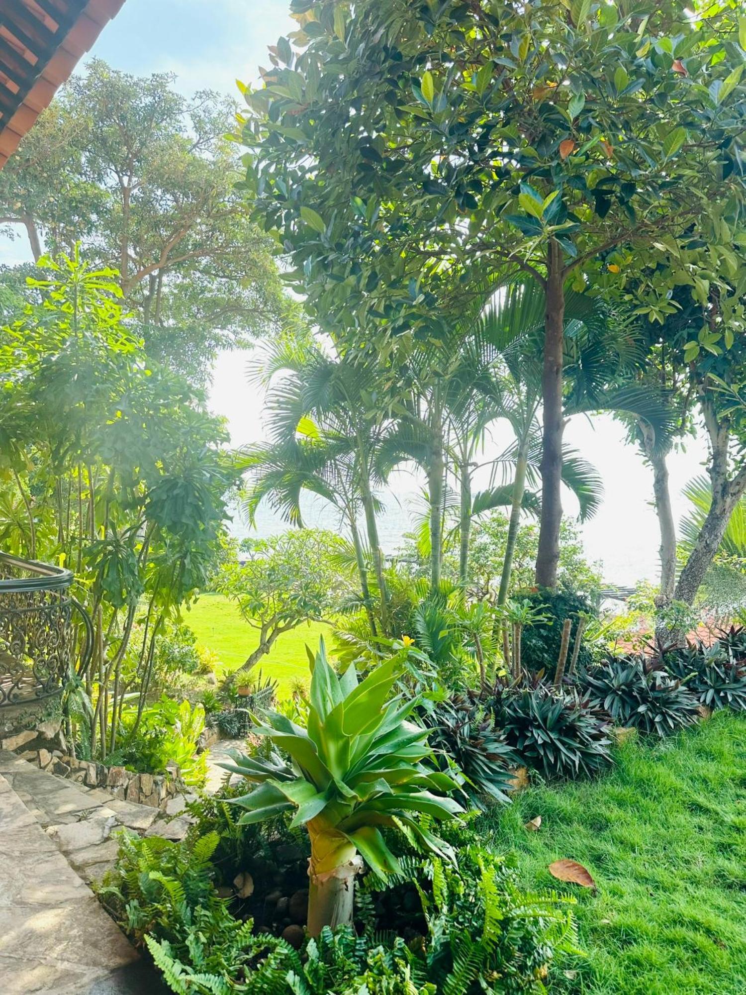 Binh An Village Vung Tau Extérieur photo